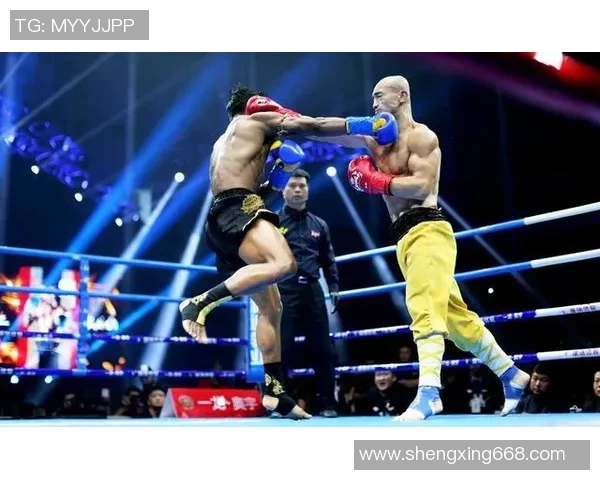 一龙与播求巅峰对决回顾2016年11月5日精彩瞬间与战术分析